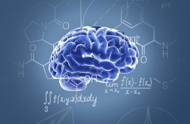 大脑|人类发展几百万年，为何大脑没有“升级”？我们这一代是尽头？