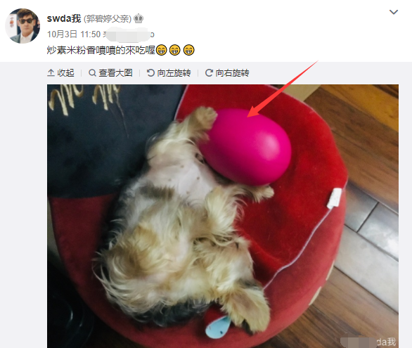 郭碧婷|向太点赞郭碧婷产女喜讯，疑默认送豪宅犒赏儿媳，深夜3点忙照顾孙女