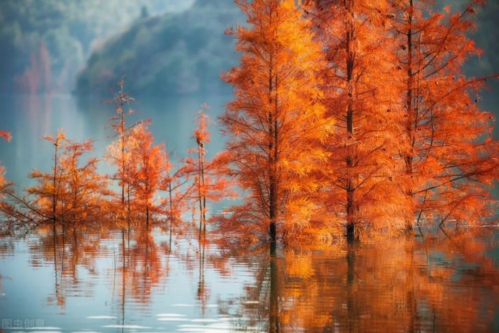 北京|10月北京小众旅行地，绝不能错过的秋色，到底有多美？