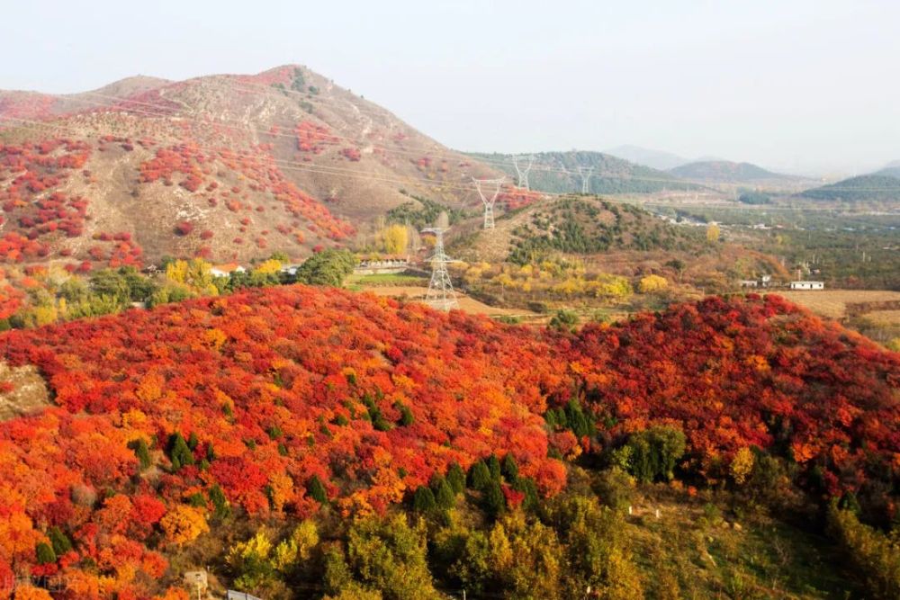 北京|10月北京小众旅行地，绝不能错过的秋色，到底有多美？