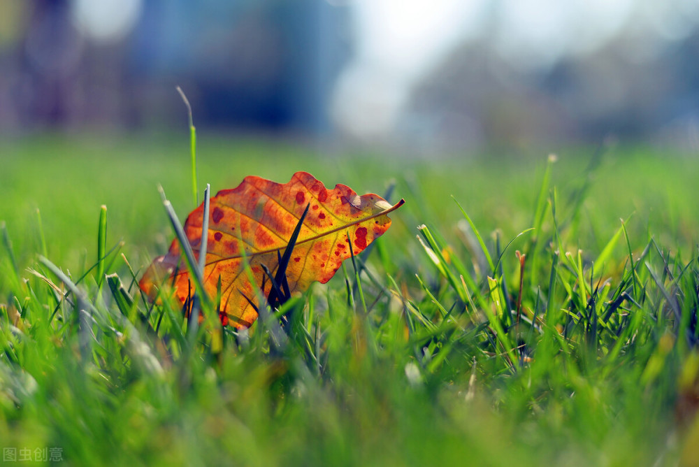 大风|如果喜欢只是一个命题