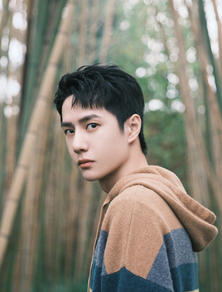 王一博|王一博粉丝赛事应援举旗违反《国旗法》，网友怒斥：为了追星都不要脑子了