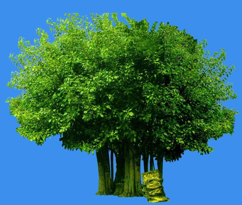 文学|从命题作文开始