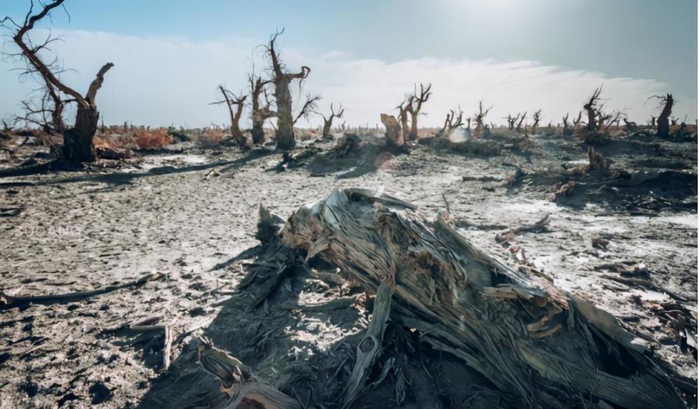 中国六大禁地之一齐名可可西里无人区凶险万分进入很难走出来
