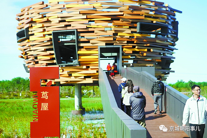 国庆长假|国庆长假以来，已有近10万市民打卡朝阳的绿色氧吧