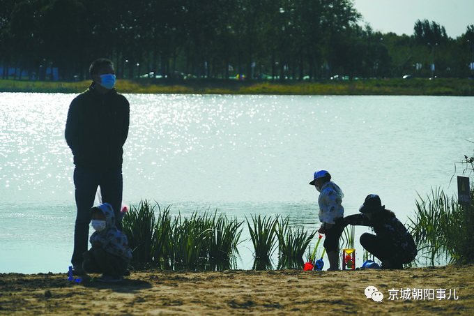 国庆长假|国庆长假以来，已有近10万市民打卡朝阳的绿色氧吧