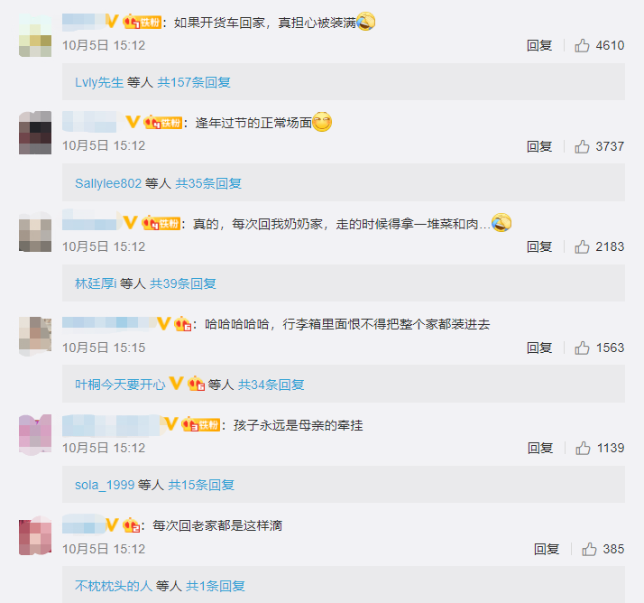 返程高峰|返程高峰已开启，后备箱又被塞满了！连这个空间也没放过