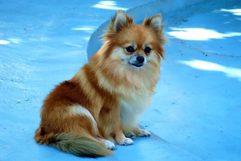 不仅有机会一扫早2个月生活乐忧参半的情况,而且不是富贵就是掌权