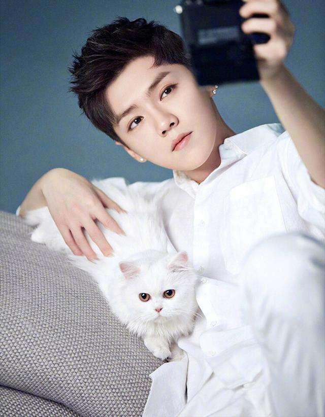 急先锋|搏击专家：急先锋票房需12亿才能收回成本，鹿晗的流量水分太大