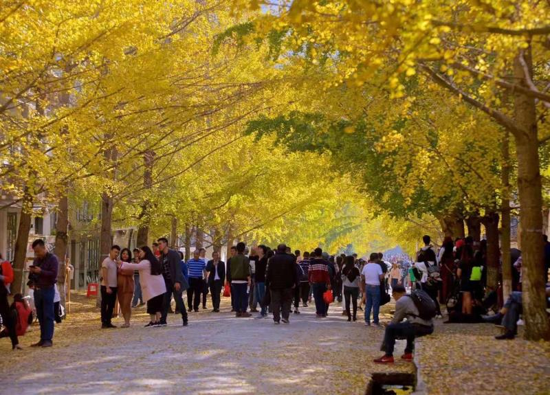 秋日|【资讯】三条时令“非遗线路”，带你领略韶关秋日的“文化气息”