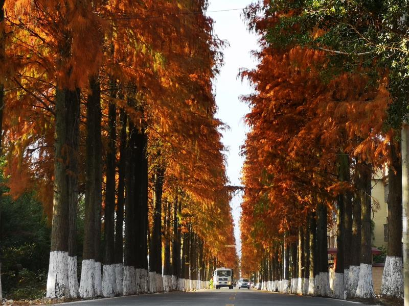 秋日|【资讯】三条时令“非遗线路”，带你领略韶关秋日的“文化气息”