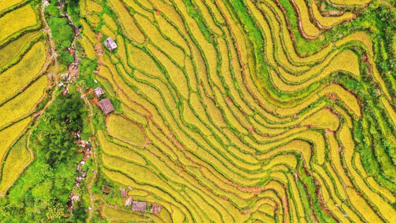 秋日|【资讯】三条时令“非遗线路”，带你领略韶关秋日的“文化气息”