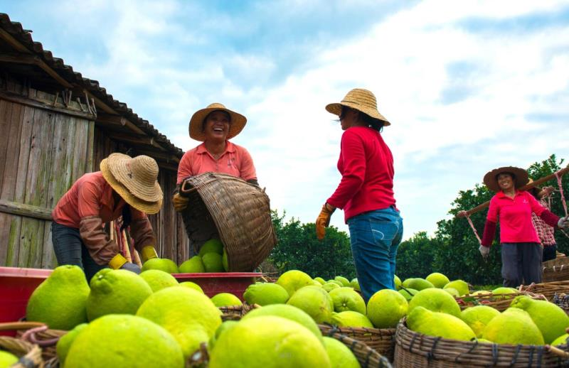 秋日|【资讯】三条时令“非遗线路”，带你领略韶关秋日的“文化气息”
