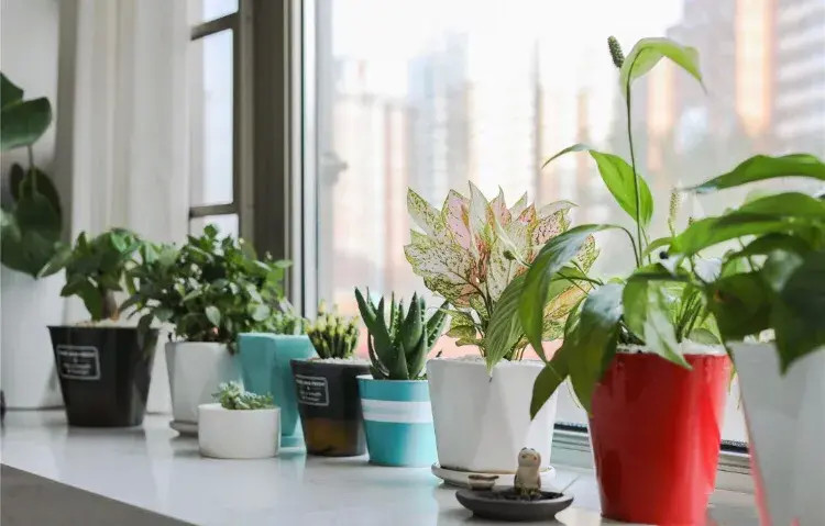 厨房设计|北京发现一户人家，面积仅60㎡收纳不输大户型，厨房设计更机智