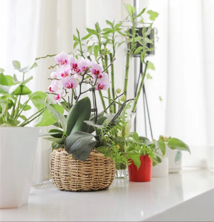 厨房设计|北京发现一户人家，面积仅60㎡收纳不输大户型，厨房设计更机智