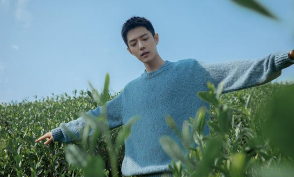 流量明星|流量明星不好当！肖战粉丝再引质疑，生日应援集会乱吼，肆意涂鸦