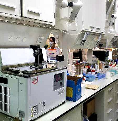 周迅|周迅为演屠呦呦参观研究所，与郑晓龙合体亮相，怼脸镜头曝光真实状态