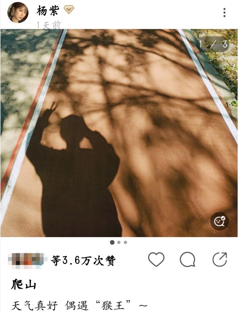杨紫|杨紫更新四宫格自拍，暖色毛衣尽显秋日女友风，粉丝：快进组吧