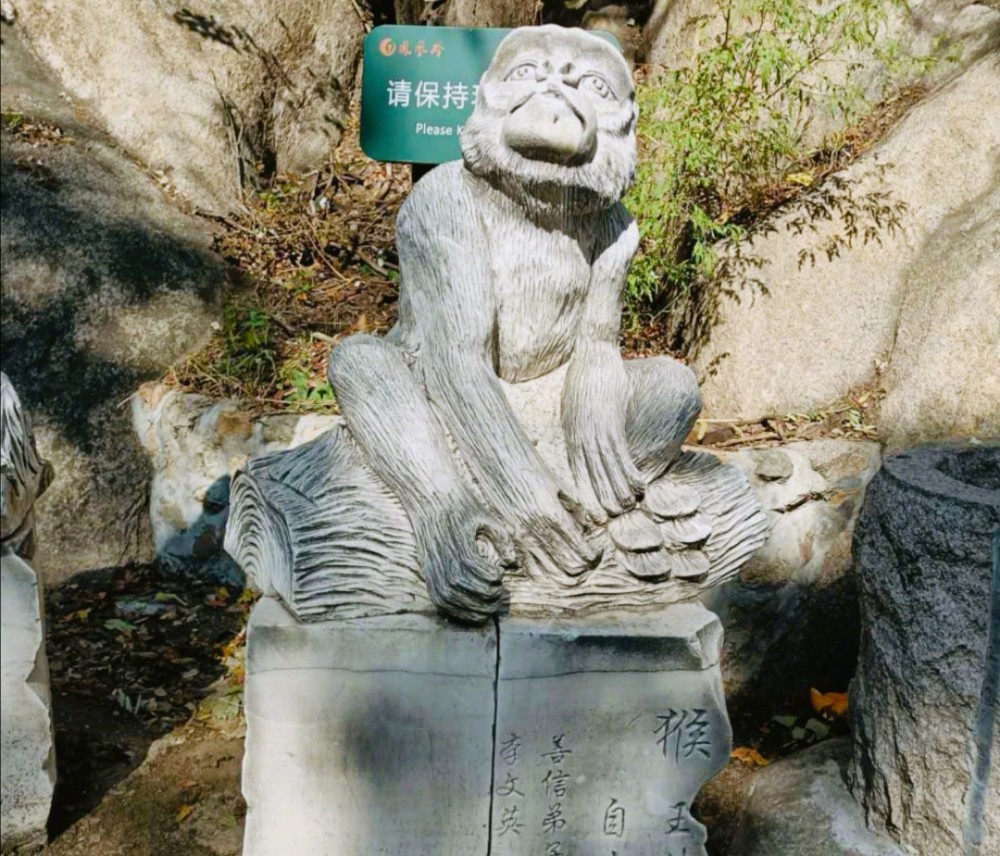 杨紫|杨紫更新四宫格自拍，暖色毛衣尽显秋日女友风，粉丝：快进组吧