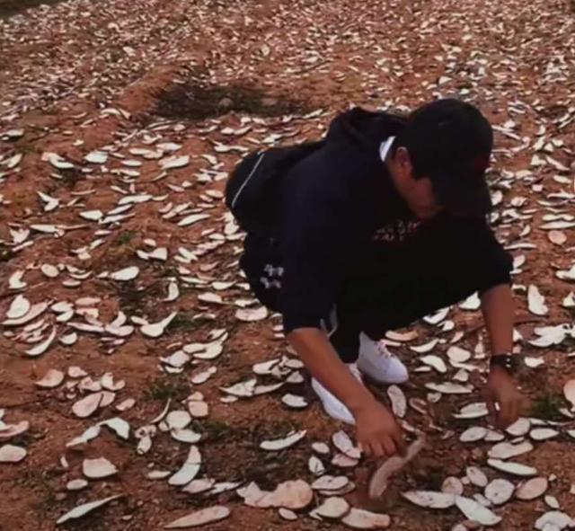 郭晓东|郭晓东晒回村干农活视频，和村民一起下地，姿势专业超卖力
