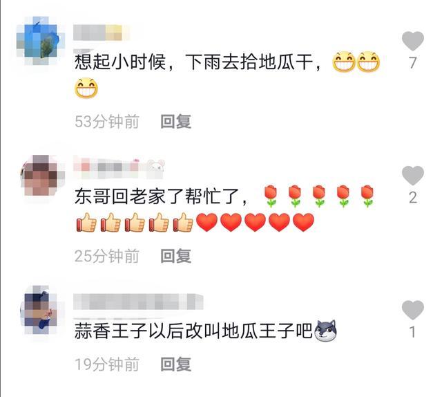 郭晓东|郭晓东晒回村干农活视频，和村民一起下地，姿势专业超卖力