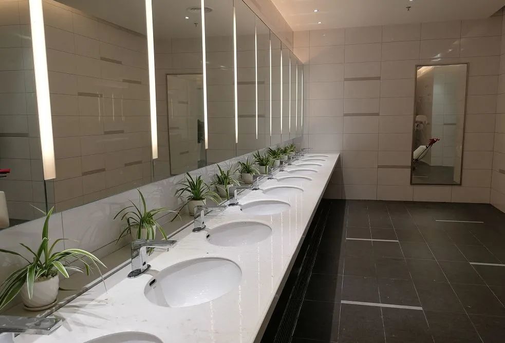 厉害大槐服务区登上了人民日报