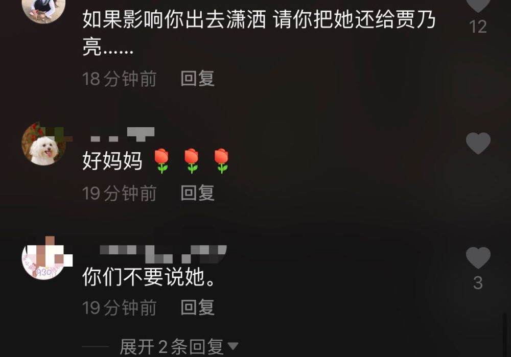 李小璐|李小璐说甜馨影响她行走江湖，偶遇贾乃亮，提到甜馨表情不自然