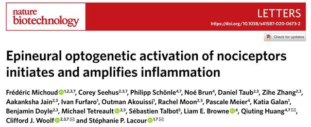 炎症|引发疼痛的感觉纤维是否能诱发炎症？新技术给出了答案