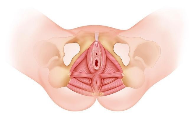 痔疮|十人九痔，十痔九不治？医生告诉你如何正确的治疗痔疮