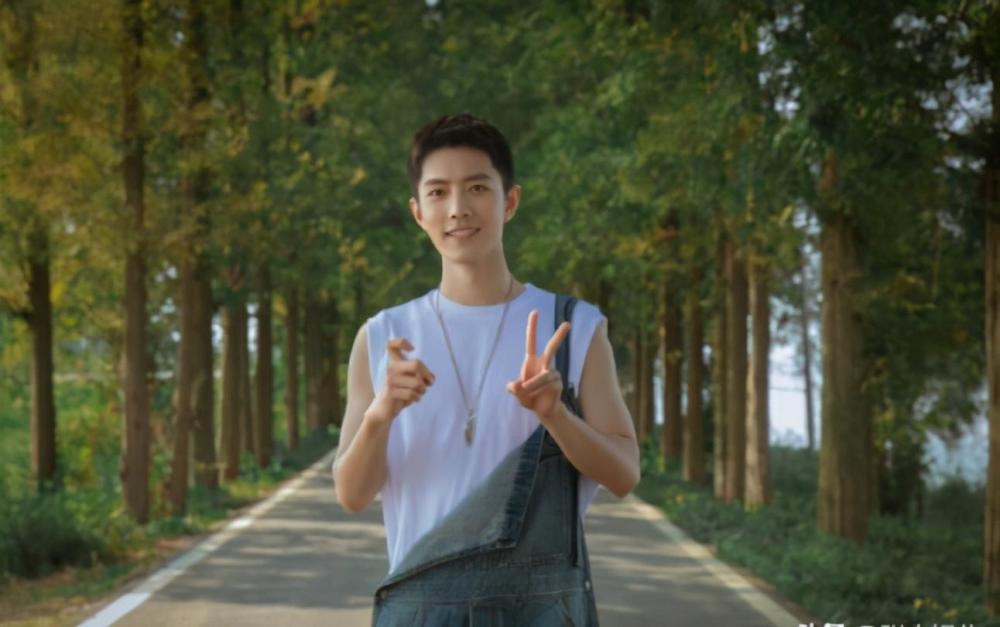 肖战|肖战粉丝应援被嘲，生日祝福略显冷清，边江道歉疑蹭热度