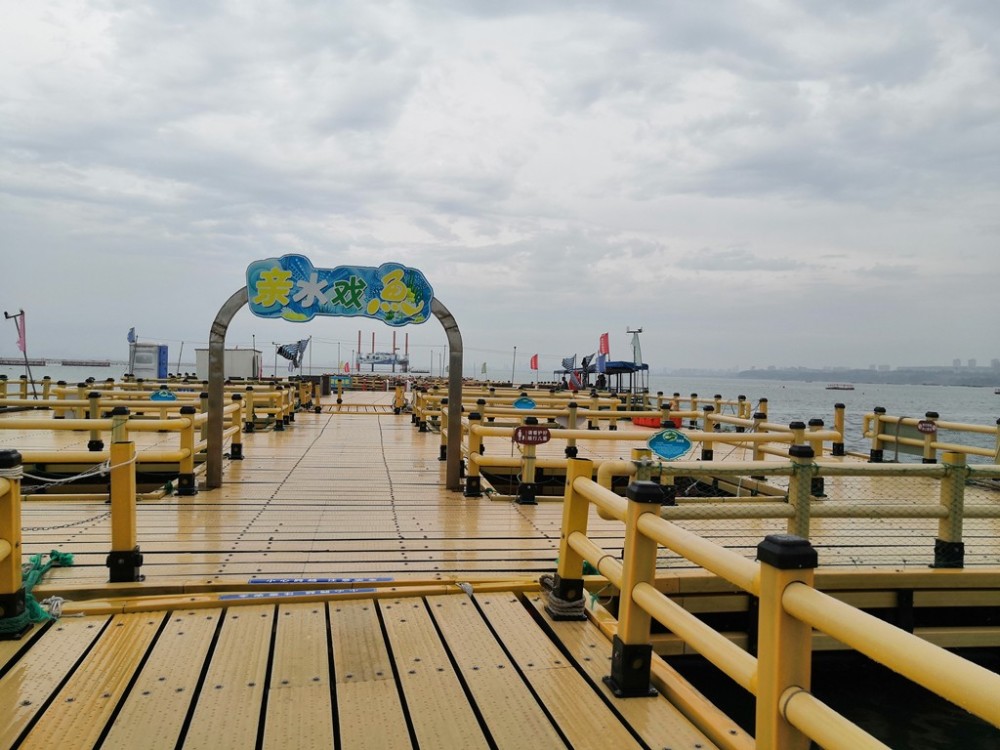 威海爱伦湾海洋牧场游玩感受冒着小雨逛了半天好看好玩还不错