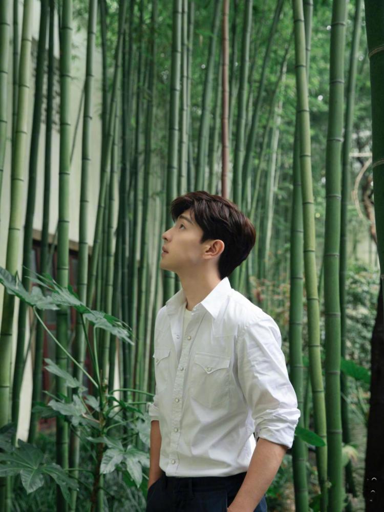 杨洋|共同出演抗疫剧后，杨洋《急先锋》票房告急，邓伦新片却颇受期待