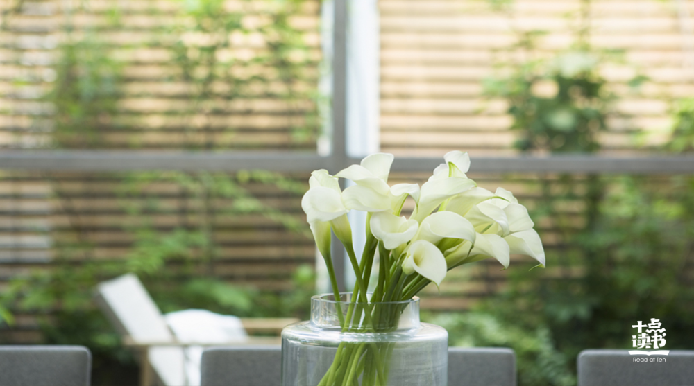 微信朋友圈|这样回你微信的人，就算了吧