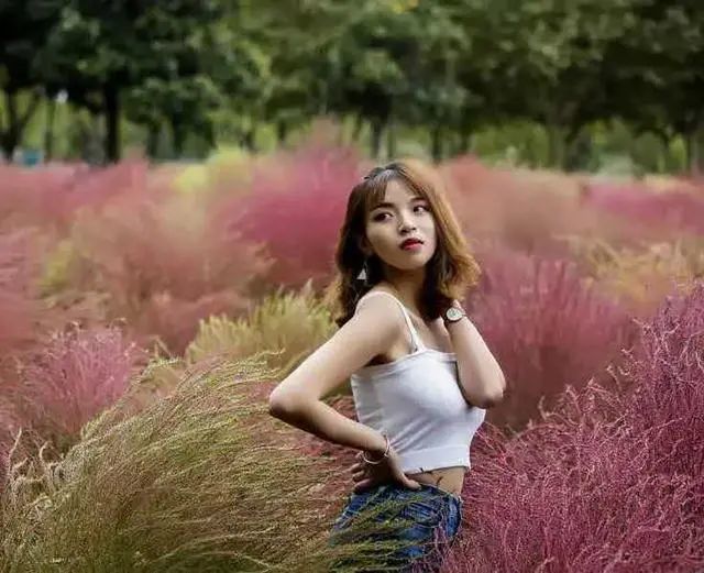 相思|《情在梦里相见》