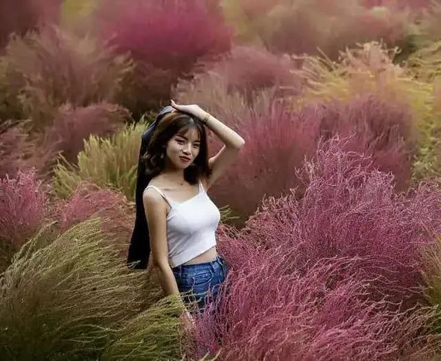 相思|《情在梦里相见》