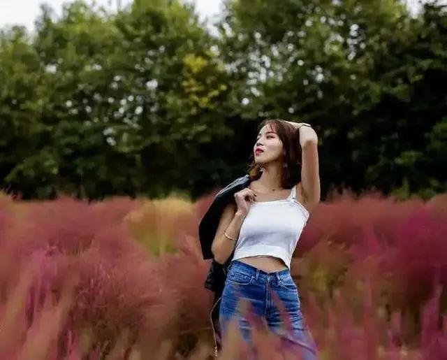 相思|《情在梦里相见》