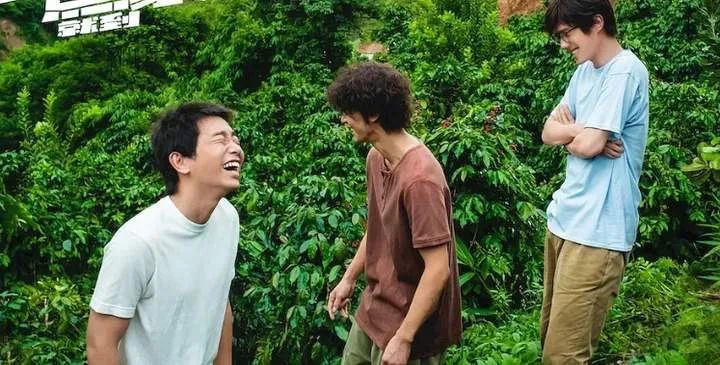 刘昊然|刘昊然，你怎么就不长记性！