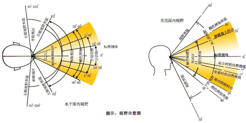 人眼视线角度图片