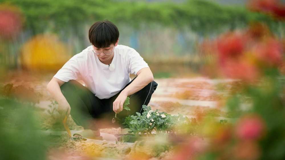 彭昱畅|黄磊、何炅提携的少年，成国庆档期的“大赢家”，彭昱畅成功“霸屏”电影院