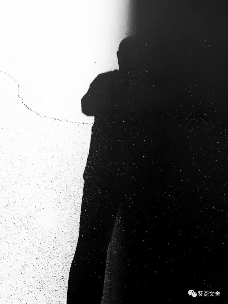 张小昌|渐老就是想想想不起来的，忘忘忘不了的