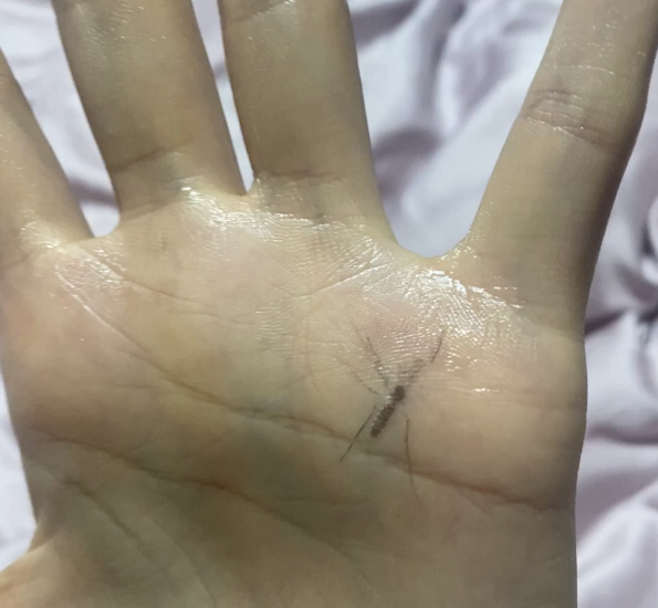 沈梦辰|沈梦辰深夜发文：人证物证都在这，你还有什么想说的吗？看到配图服了