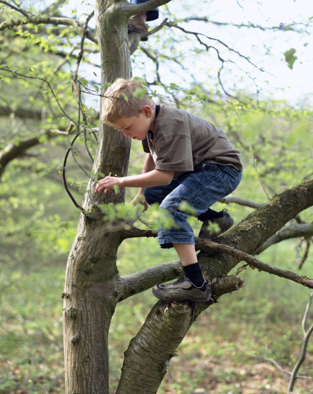 黄蔼北作品——爬树