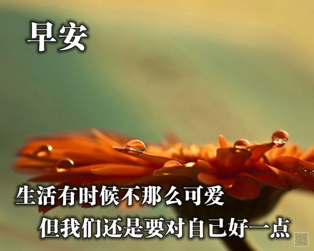 清晨最受欢迎的早安励志说说,简短精致的正能量句子分享