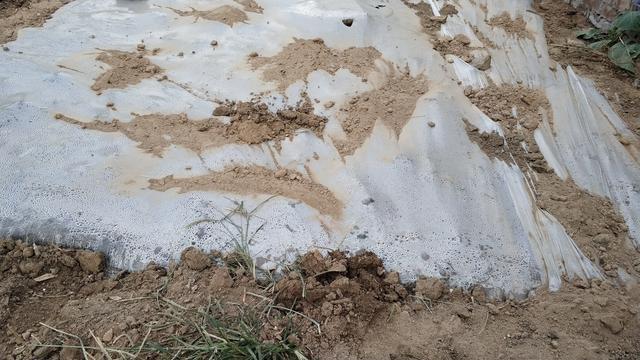 种植户|今天寒露，农村俗称“吃了寒露饭，单衣汉少见”，寒露后该怎么做