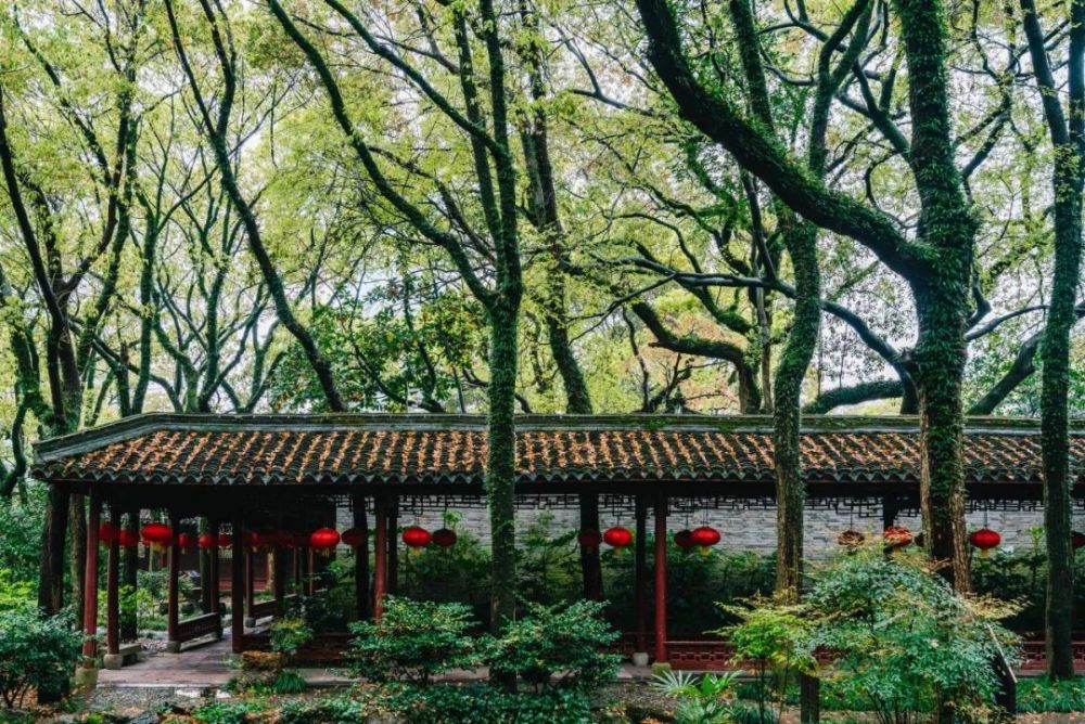 对联|古人真会玩，用对联来吵架