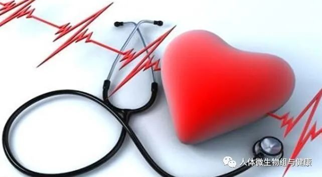 抗生素|抗生素可以改变微生物组让老年动物动脉变年轻？