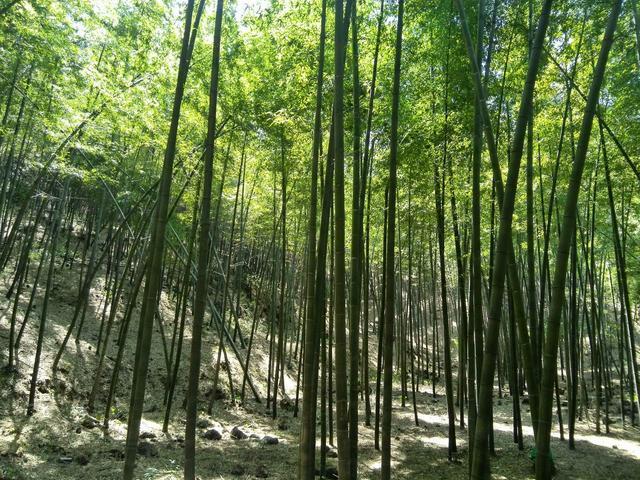 对联|3副传世名联，出自对联名家之手，确实有真水平