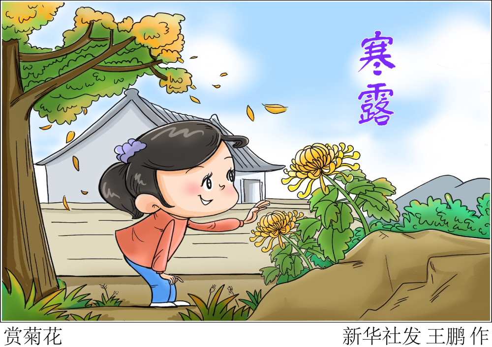二十四节气寒露赏菊花
