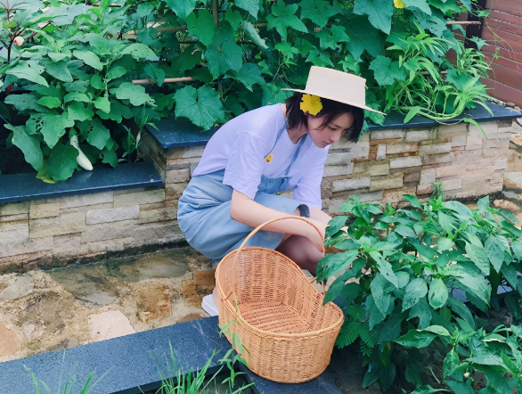 张馨予|张馨予回何捷家过中秋，喝当地下午茶很开心，碗破口不扔超贤惠