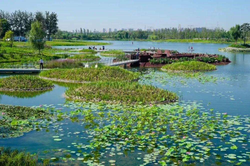 温榆河公园|同时体验“景”与“静”，这些地方别错过